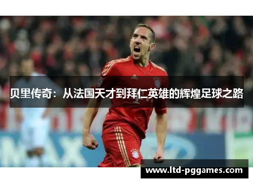 贝里传奇：从法国天才到拜仁英雄的辉煌足球之路