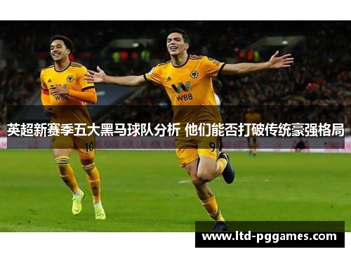 英超新赛季五大黑马球队分析 他们能否打破传统豪强格局 英超新赛季五大黑马球队分析 他们能否打破传统豪强格局