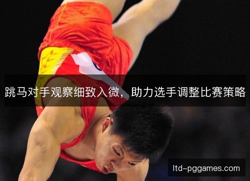 跳马对手观察细致入微，助力选手调整比赛策略